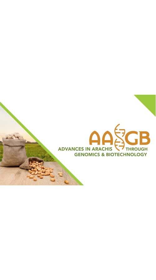 A graphic that says 'AAGB: Advances in Arachis through Genomics & Biotechnology"