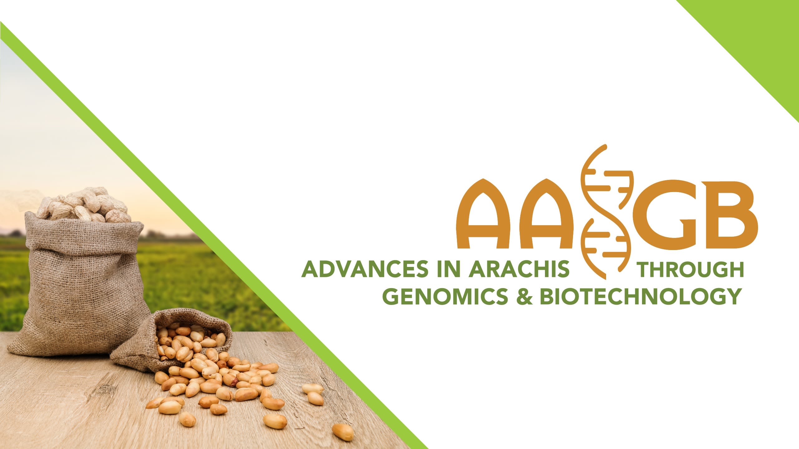 A graphic that says 'AAGB: Advances in Arachis through Genomics & Biotechnology"
