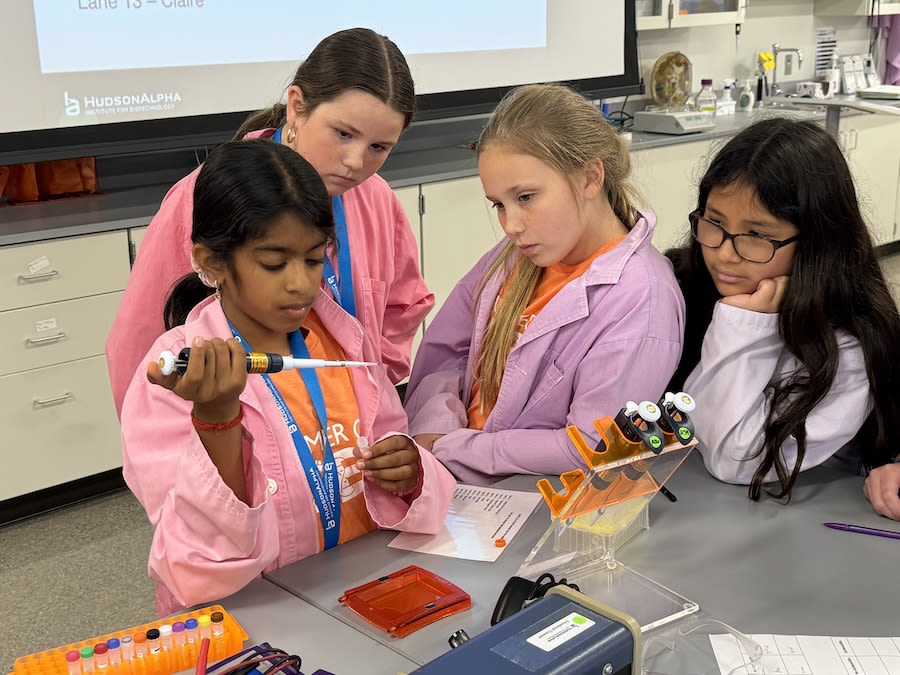 Four young students using a pipette 