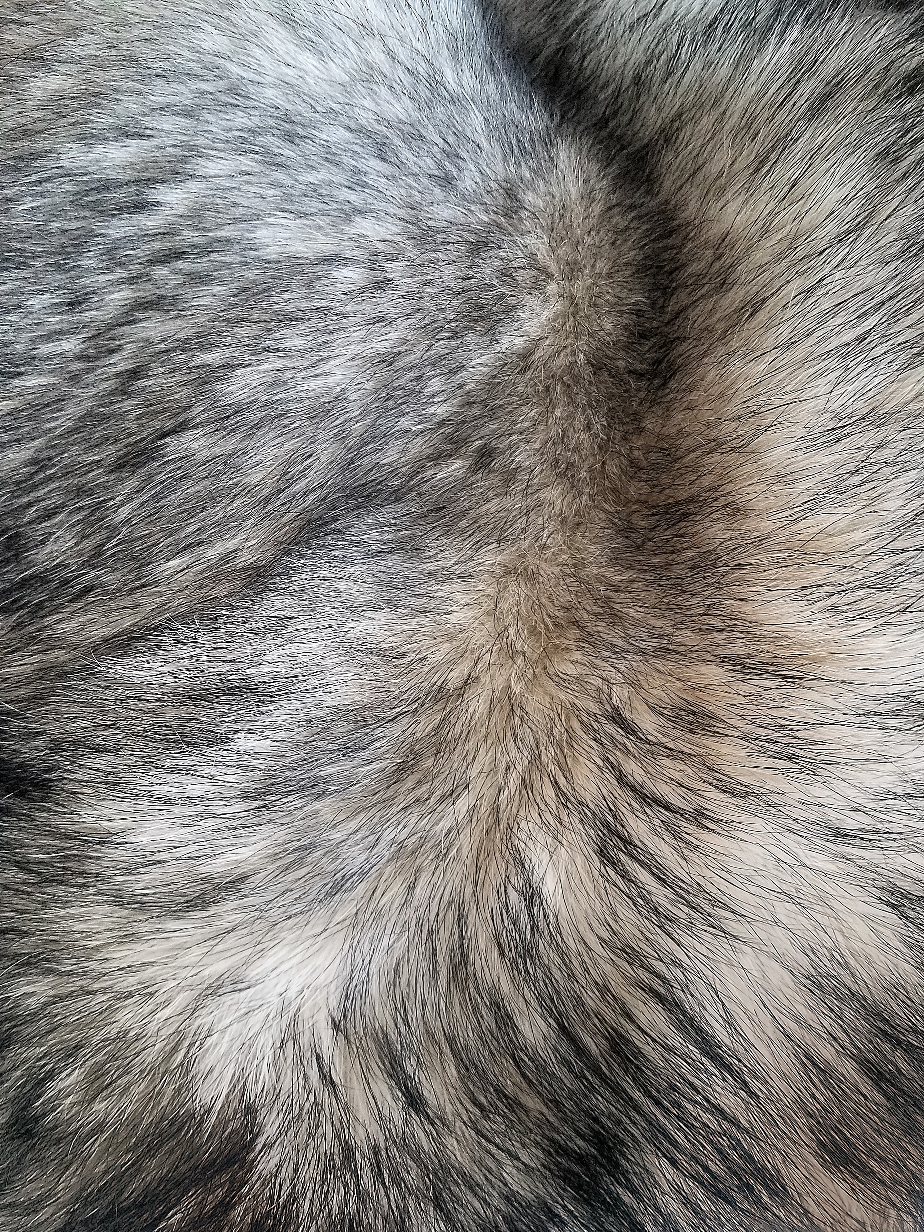 brown and black fur textile